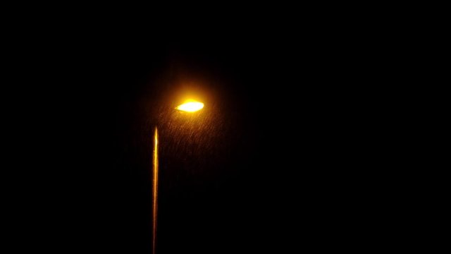 Wind and heavy rain over lamp post at night. Night scene footage.