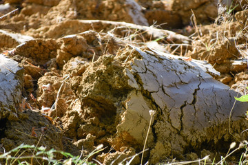 a piece of turned over soil in a sunny day