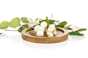 Lot of whole bright white snowberry on round bamboo coaster isolated on white background