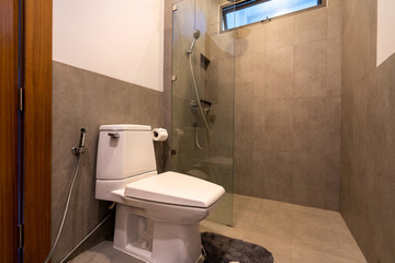 Modern toilet in luxury home