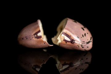 Group of two halves of fresh speckled bean pinto one cracked isolated on black glass