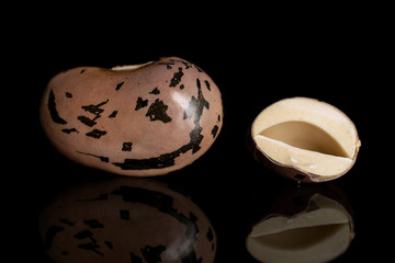 Group of one whole one half of fresh speckled bean pinto isolated on black glass