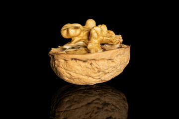 One half of fresh brown walnut isolated on black glass