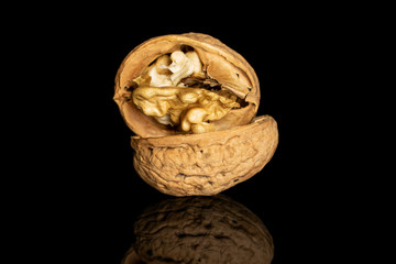 Group of two halves of fresh brown walnut isolated on black glass