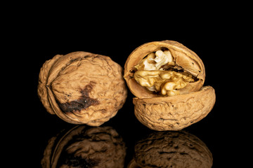 Group of one whole two halves of fresh brown walnut isolated on black glass