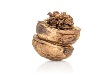 Group of two halves of dry fresh brown walnut isolated on white background