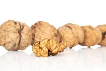 Lot of whole one piece of fresh brown walnut one peeled isolated on white background