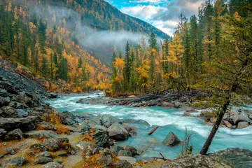 Foto op Plexiglas Ochtend op de rivier de Akkem in de herfst © Andrey Oleshko