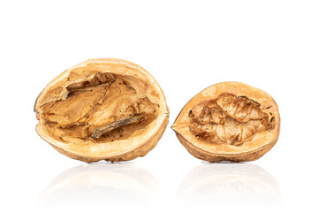 Group of two halves of walnut shell isolated on white background