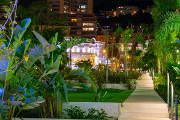 Park with palm trees at night time in Monaco