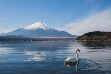 山中湖からの富士山