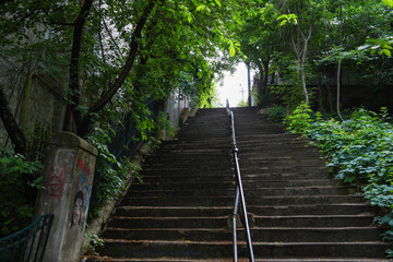 stairs covered with vegetation in Cotroceni neighborhood, Bucharest