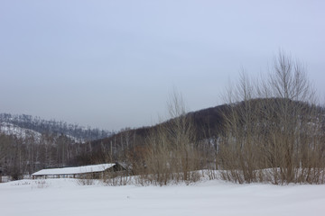 Winter snowy landscape with hills and trees