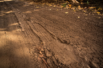 Tire tracks on a dirty road in autumn