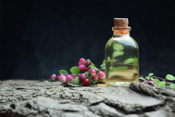 forest red berries tincture aroma oil