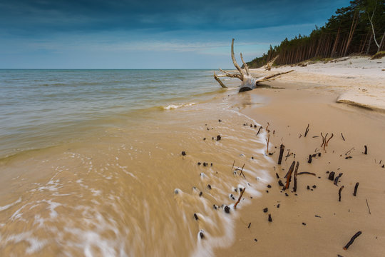 View of the beaches in Karwienskie Blota, Poland.