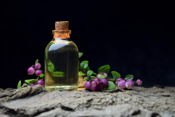 forest red berries tincture aroma oil