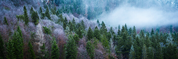 Wolken im Wald in den Alpen - Panorama © kentauros