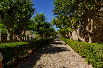 Obraz premium Castle of Montemor or Vello, in Mondego Portugal