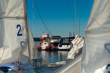 Obraz premium yacht sails and motor boats in yachts at sunny morning