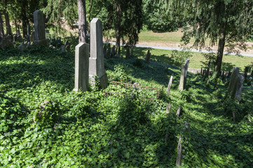 Naklejka premium UNESCO protected Jewish Cemetery of Trebic, Czech Republic with old Hebrew carved tomb stones.