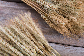 Wheat ears on wooden background. Ears of wheat on rustic wood background.