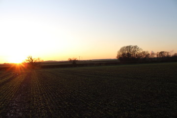 Fototapeta premium sunset 