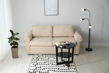 Modern comfortable sofa in stylish home interior