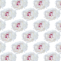 Pattern of white peony flower with a pink center