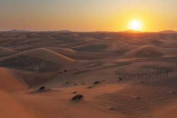 Fototapeta na wymiar Wüste von Dubai