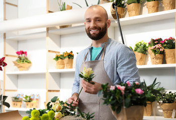 Florist making bouquet with fresh flowers at table in shop