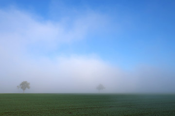 Obraz na płótnie Canvas Inversionswetterlage mit Bodennebel und Sonnenschein auf freiem Feld Anfang Dezember 2019 im Westerwald - Stockfoto