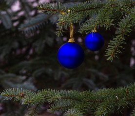 Fir tree branches with balls. Christmas, winter, new year composition. 