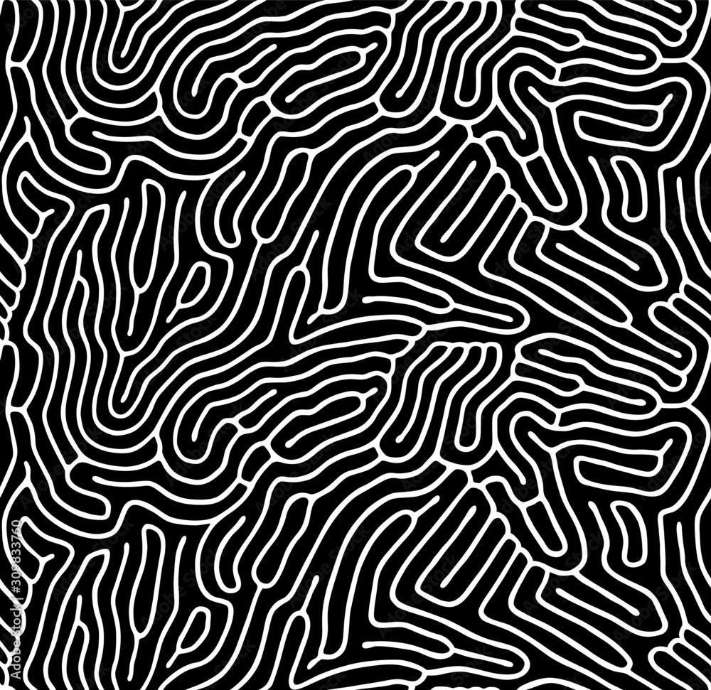 Wall mural vector seamless maze pattern. organic irregular rounded lines. abstract background.