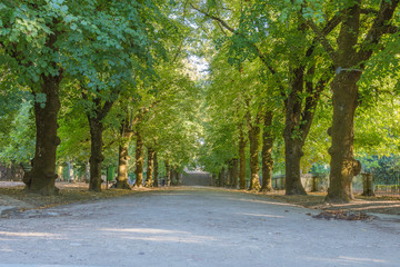 Gardens next to the University of Coimbra