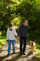 Naklejka na ściany i meble Smiling couple holding hands walking up a path with pet dog in a Toronto park