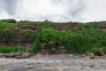 Rocks covered with green ivy, stones. Bali seacoast.