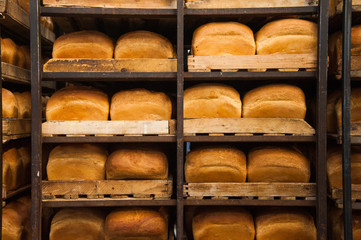 Bakery. Production of bread, rolls, pies and cookies
