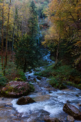 Torrent du H&eacute;risson, Jura