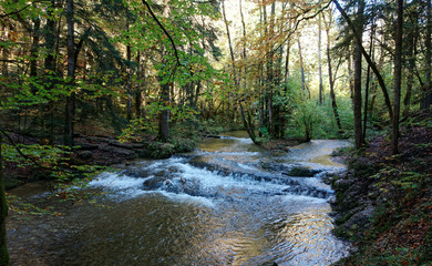Torrent du H&eacute;risson, Jura