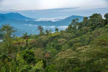Fototapeta premium Countryside landscape with mountains and tropical vegetation in Colombia.