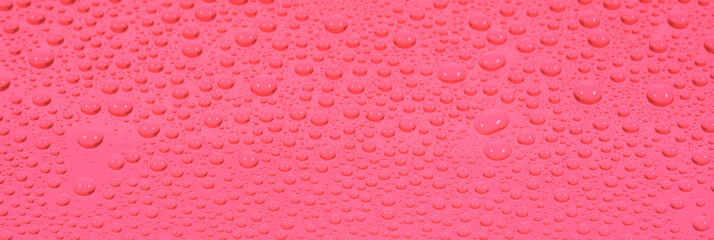 pink background with water drops