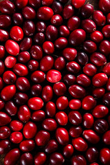 Overhead view of fresh organic cranberries