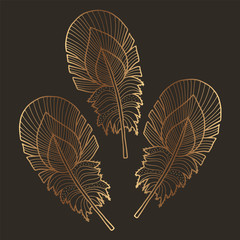 Vector golden feather. Line art  with gold effect. Great for decoration, placement print, design.