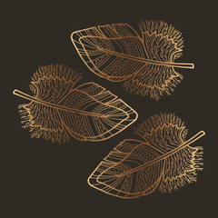 Vector golden feather. Line art  with gold effect. Great for decoration, placement print, design.