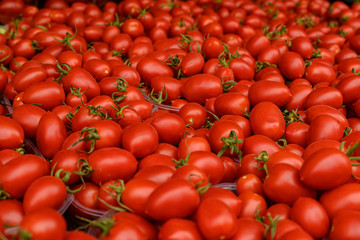 Bright red fresh ripe juicy tomatoes on the counter in the market, in the store or in the bazaar. Red tomatoes background. Group of tomatoes. Full frame of tomato on market
