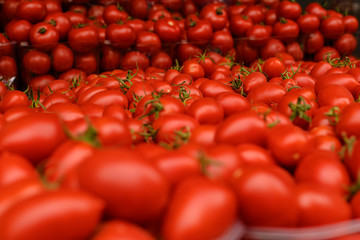 Bright red fresh ripe juicy tomatoes on the counter in the market, in the store or in the bazaar. Red tomatoes background. Group of tomatoes. Full frame of tomato on market