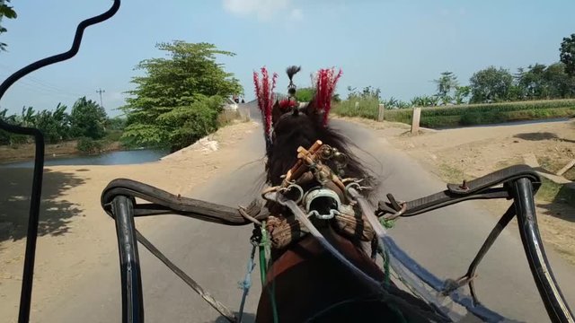 the horse is pulling the carriage on ht country road