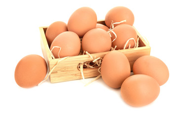 Tray with fresh eggs on white background