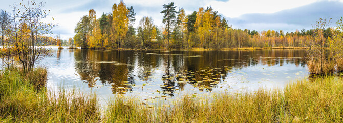 Autumn landscape with yellow leaves on the trees, the lake and the reflection in the water. Panorama. Nature of Central Europe, Belarus